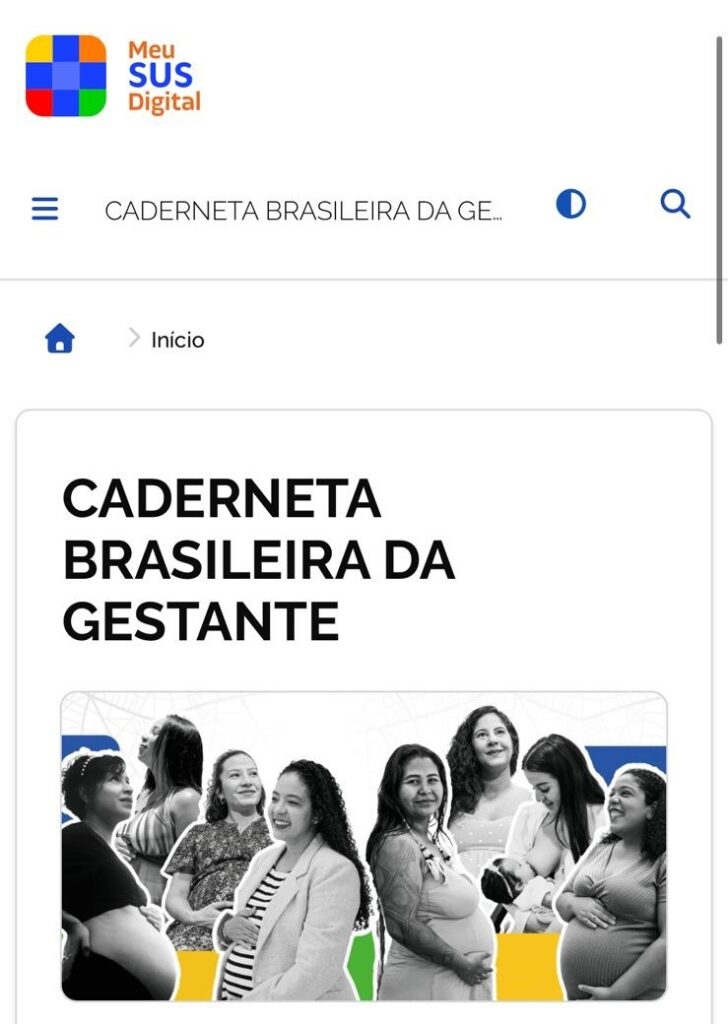 Miniapp da Caderneta Digital da Gestante